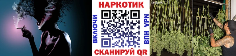 Где купить Озёрск Гашиш NBOMe Меф мяу мяу СОЛЬ Конопля ОМГ ОМГ вход COCAIN