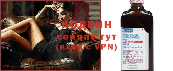 твердый Бородино