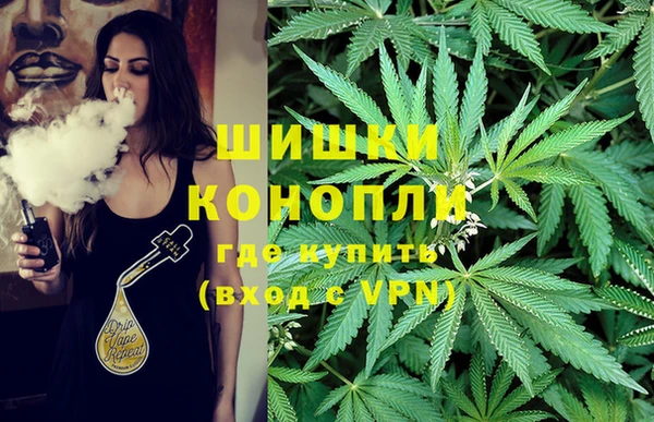 твердый Бородино