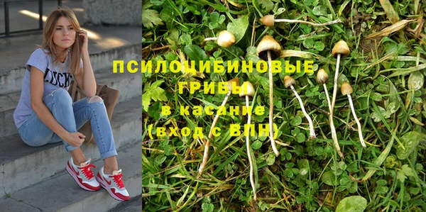 винт Беломорск