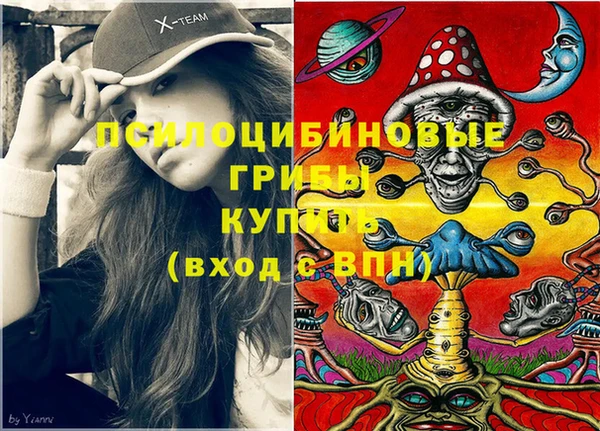 твердый Бородино