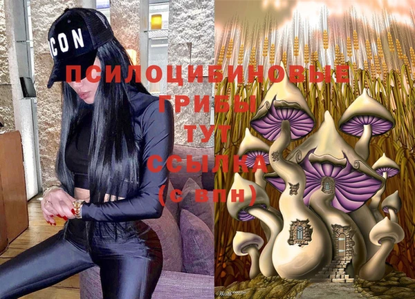 хмурый Осташков